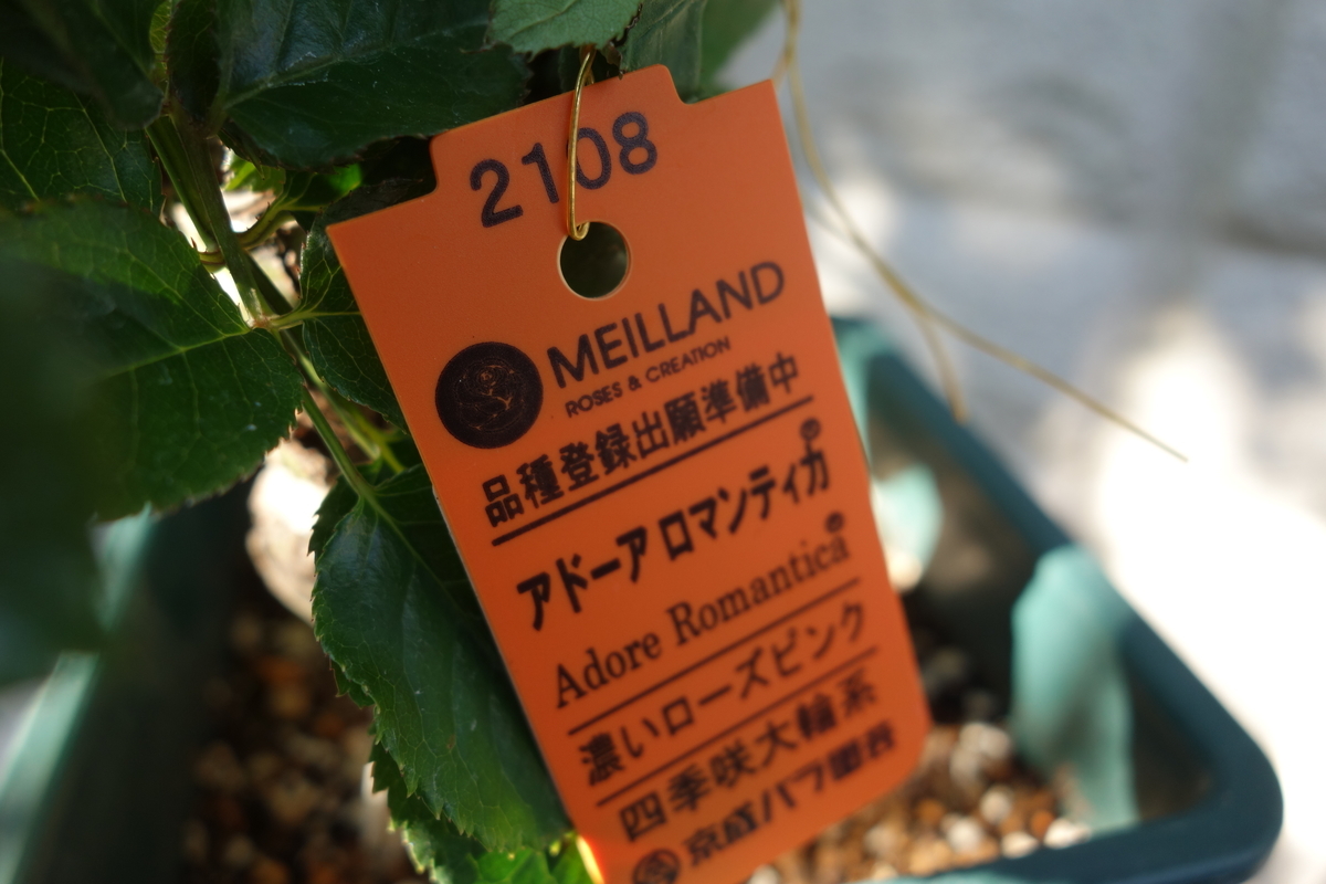 f:id:hebelian-rhapsody:20201122174959j:plain