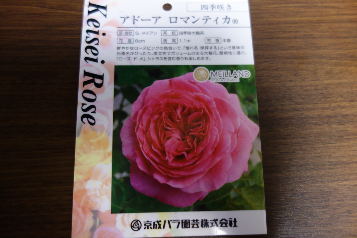 f:id:hebelian-rhapsody:20201122175158j:plain