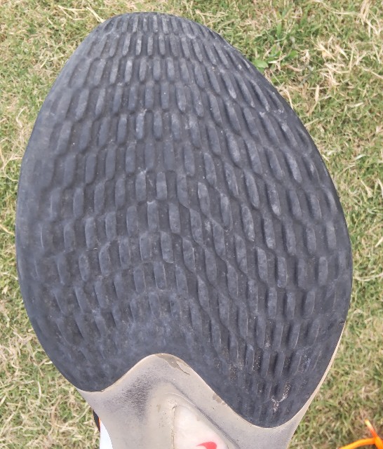 f:id:hebereke555:20230726195127j:image f:id:hebereke555:20230726195127j:image