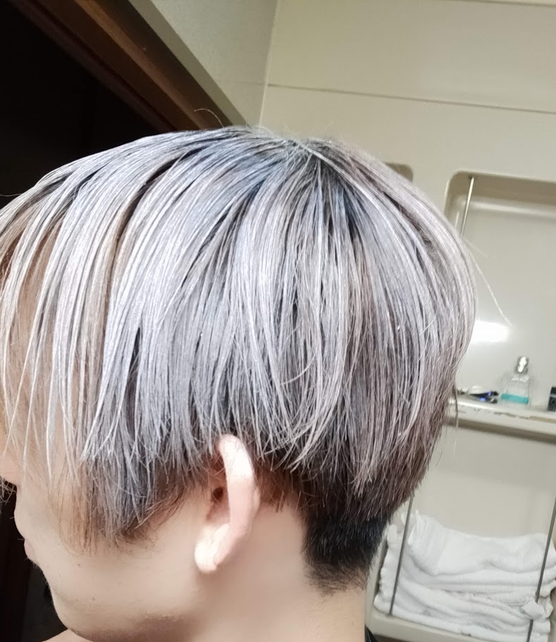 f:id:hebyahebya:20210621232200j:plain