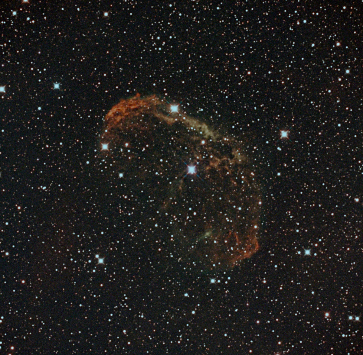 NGC6888 はくちょう座 クレセント星雲 - 明日撮ろ写真