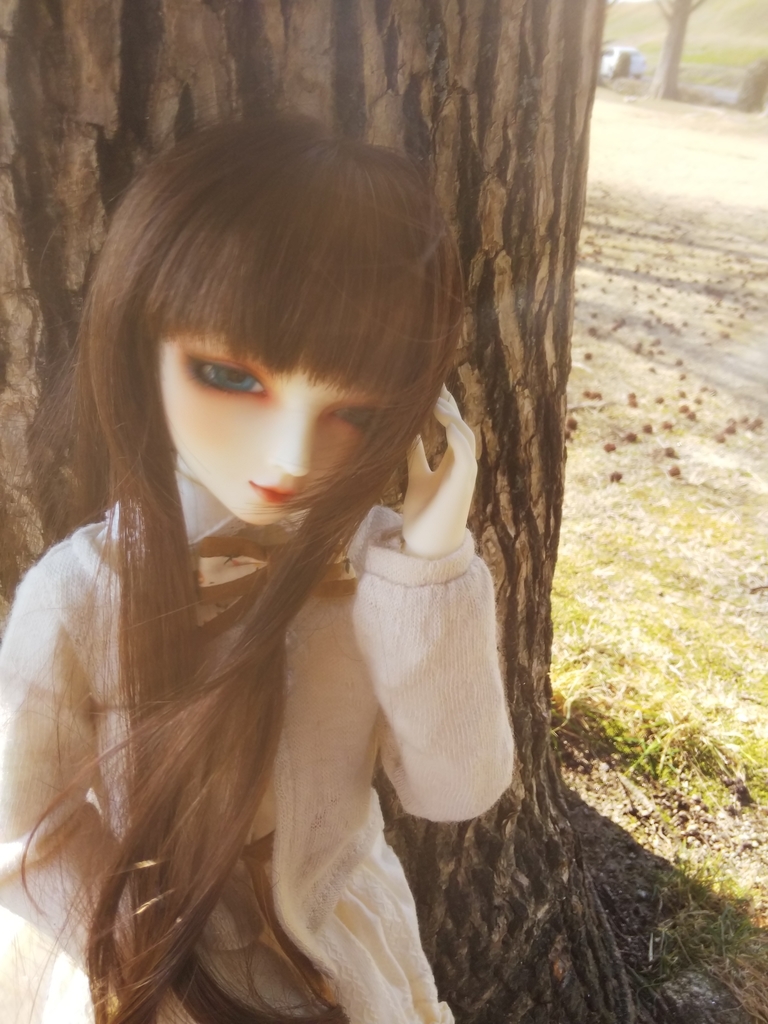 f:id:hechima-fl:20190223130521j:plain f:id:hechima-fl:20190223130521j:plain