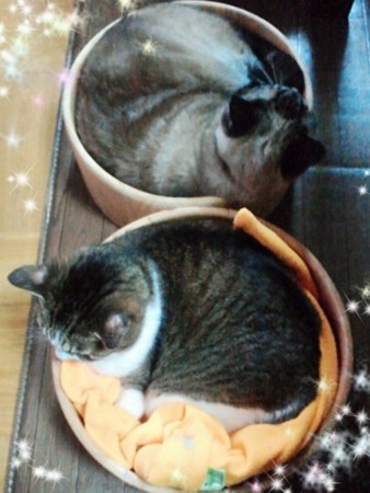 f:id:hechoparsha:20121213222627j:image