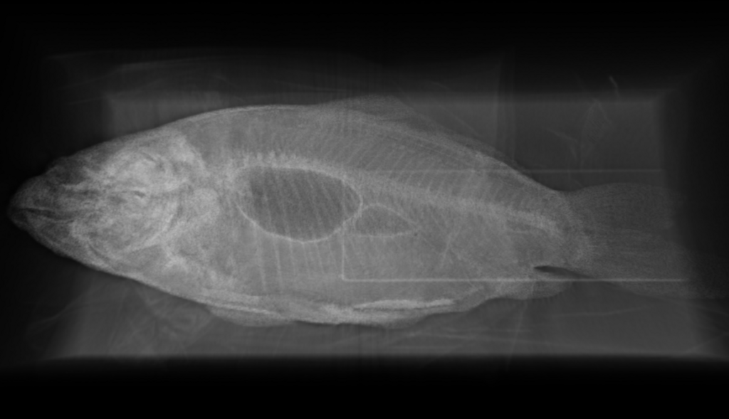 f:id:hecomi:20180114122255p:plain f:id:hecomi:20180114122255p:plain