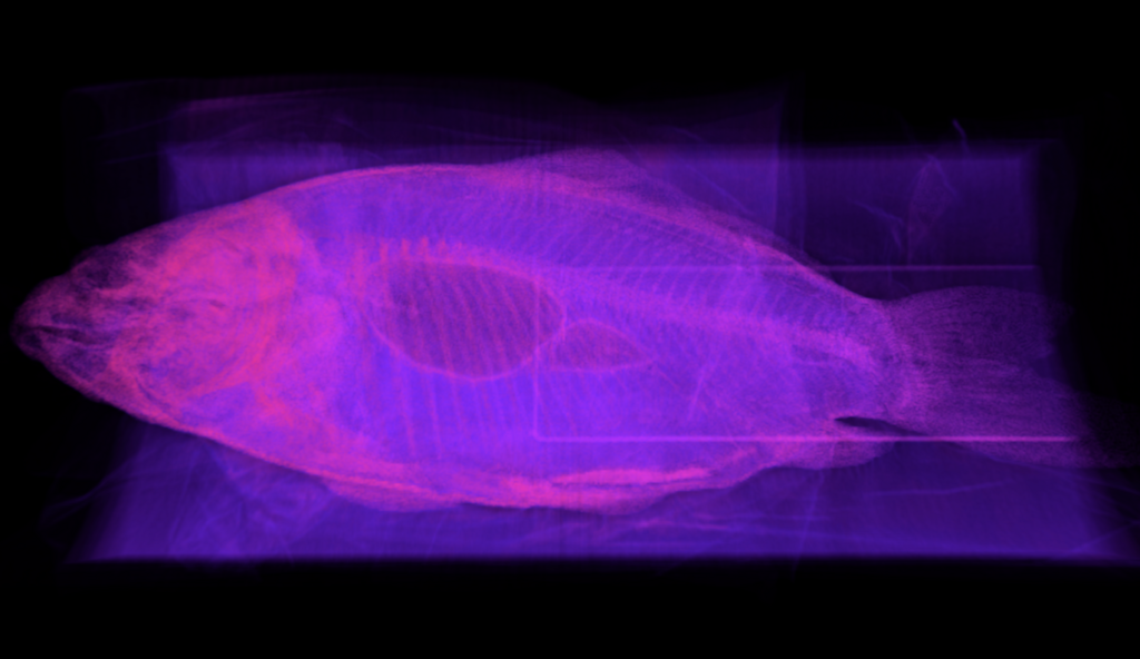 f:id:hecomi:20180114122301p:plain f:id:hecomi:20180114122301p:plain