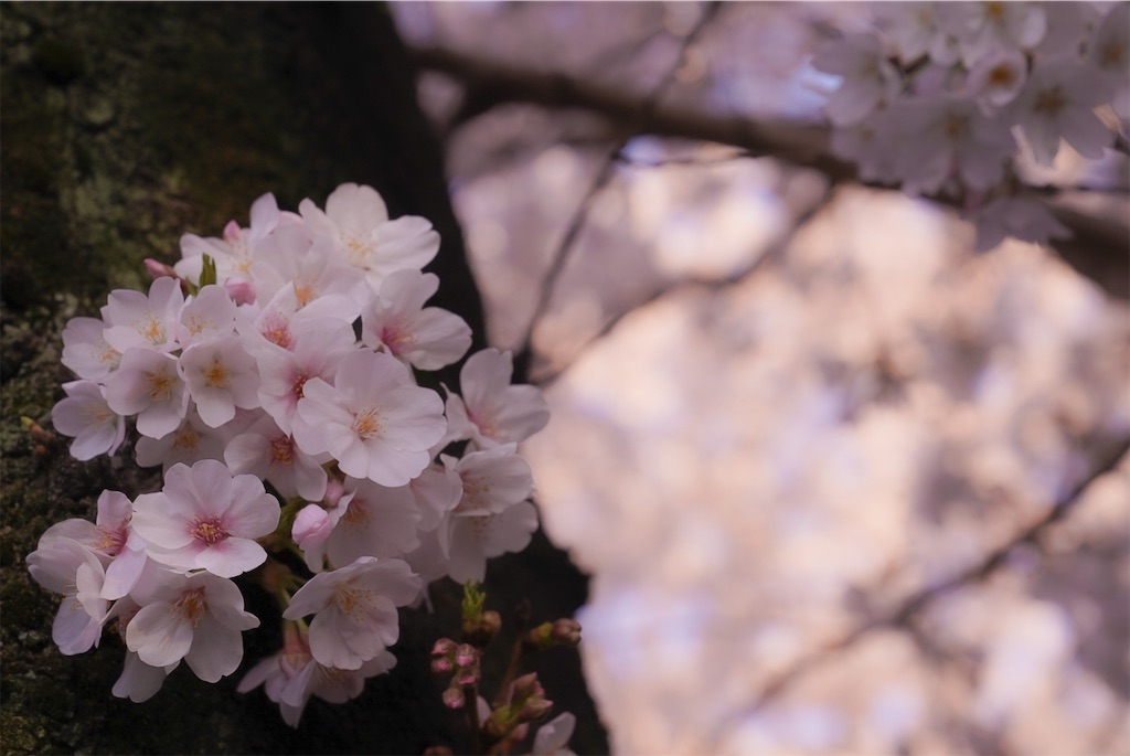 f:id:heemaxx914:20200329151822j:image