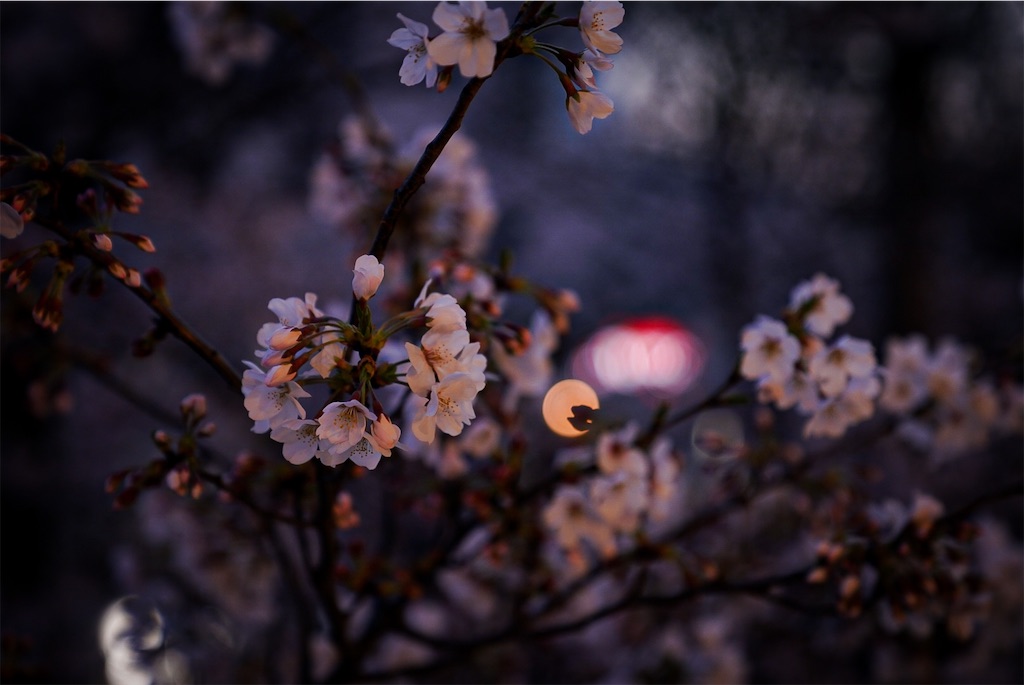 f:id:heemaxx914:20200329151836j:image