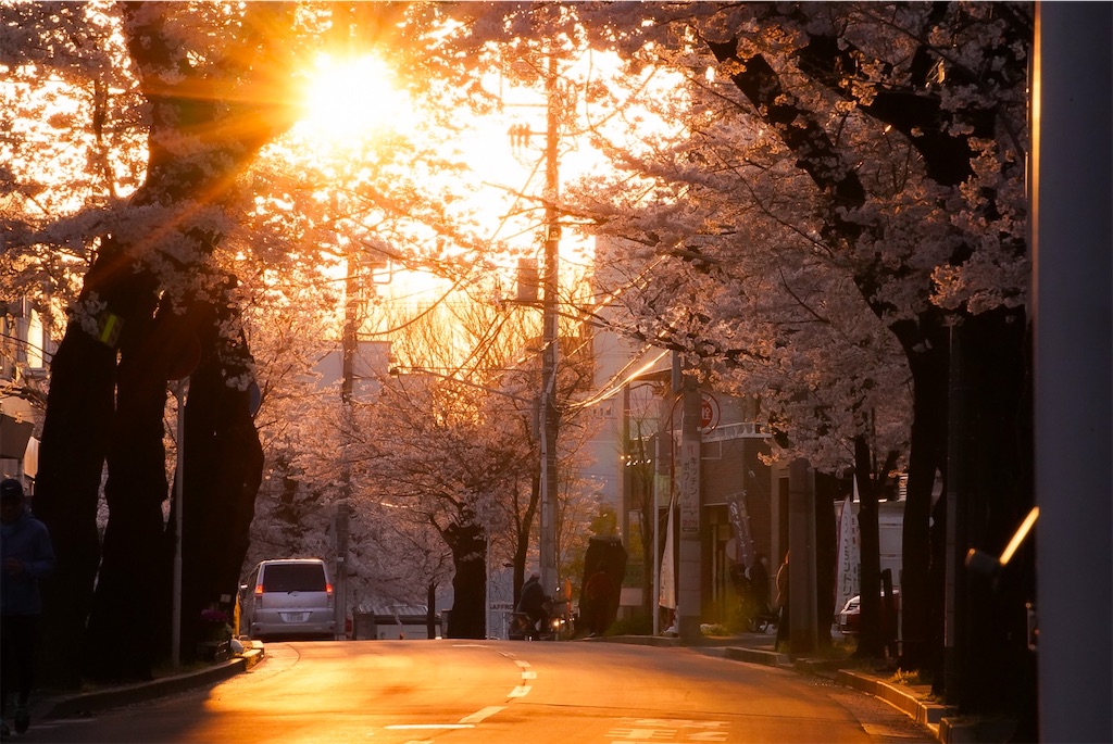 f:id:heemaxx914:20200329151840j:image