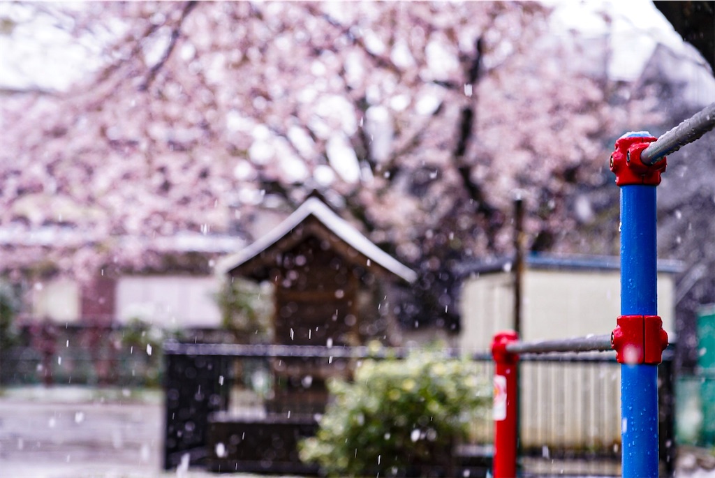 f:id:heemaxx914:20200329152248j:image