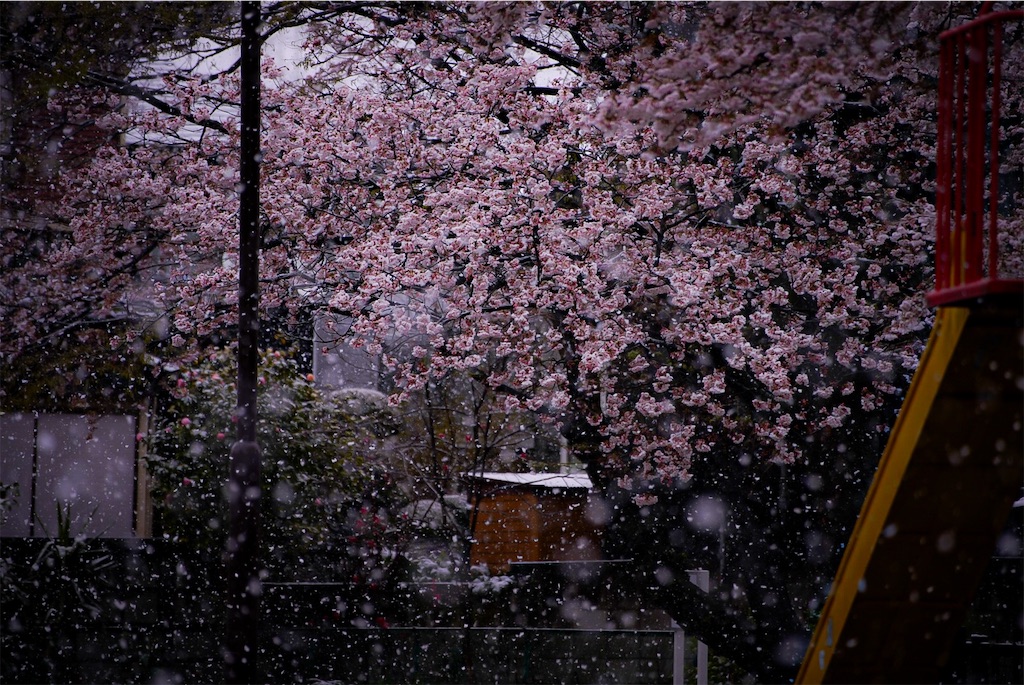 f:id:heemaxx914:20200329152255j:image