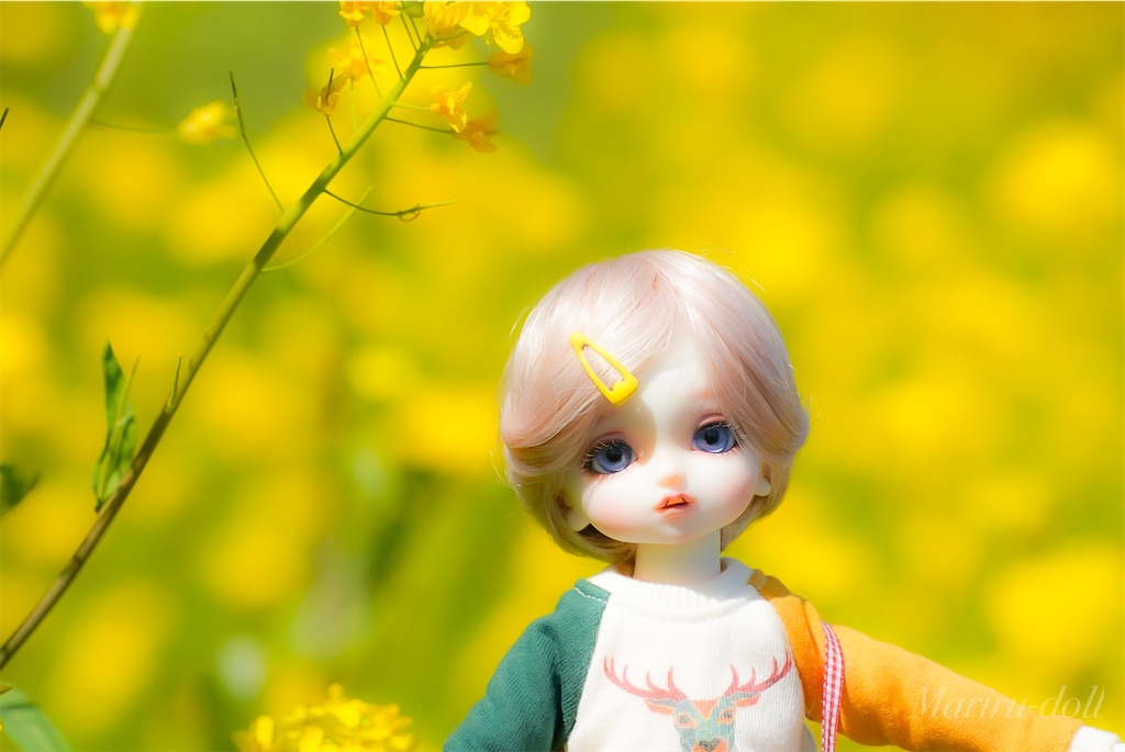 f:id:heemaxx914:20200329180632j:image