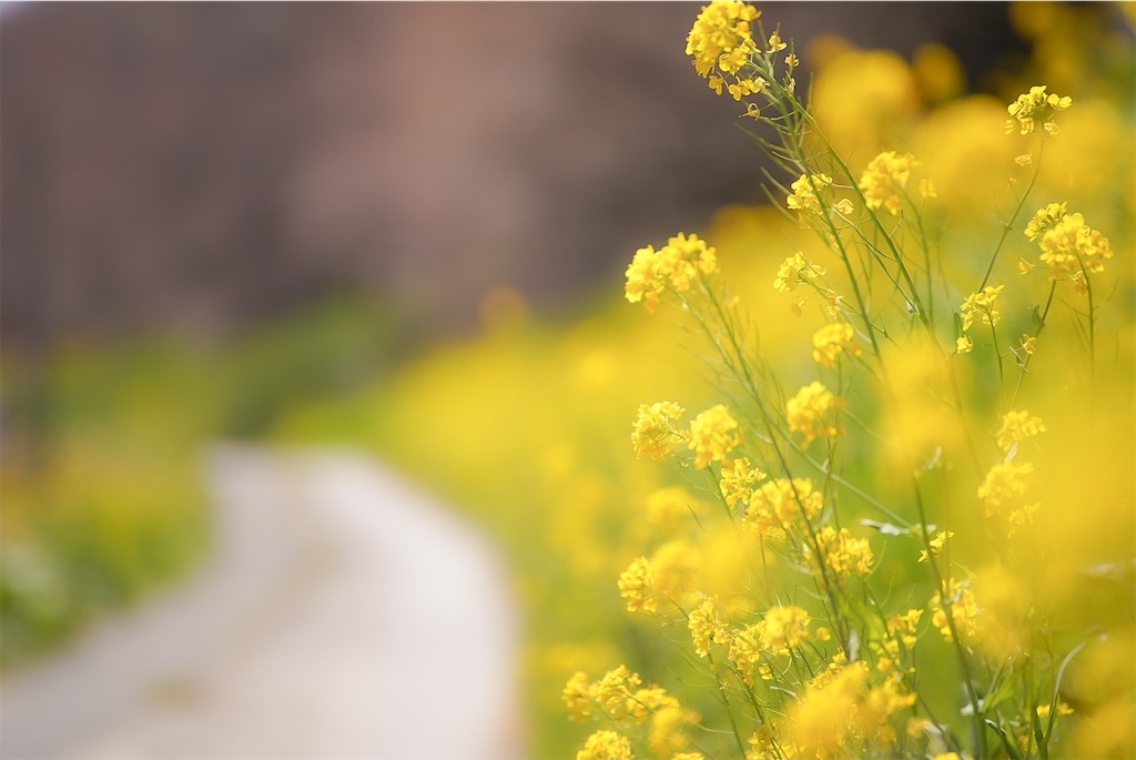 f:id:heemaxx914:20200329180638j:image