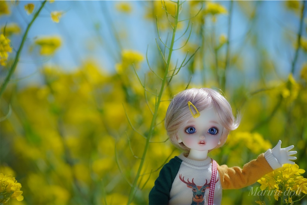 f:id:heemaxx914:20200329180644j:image