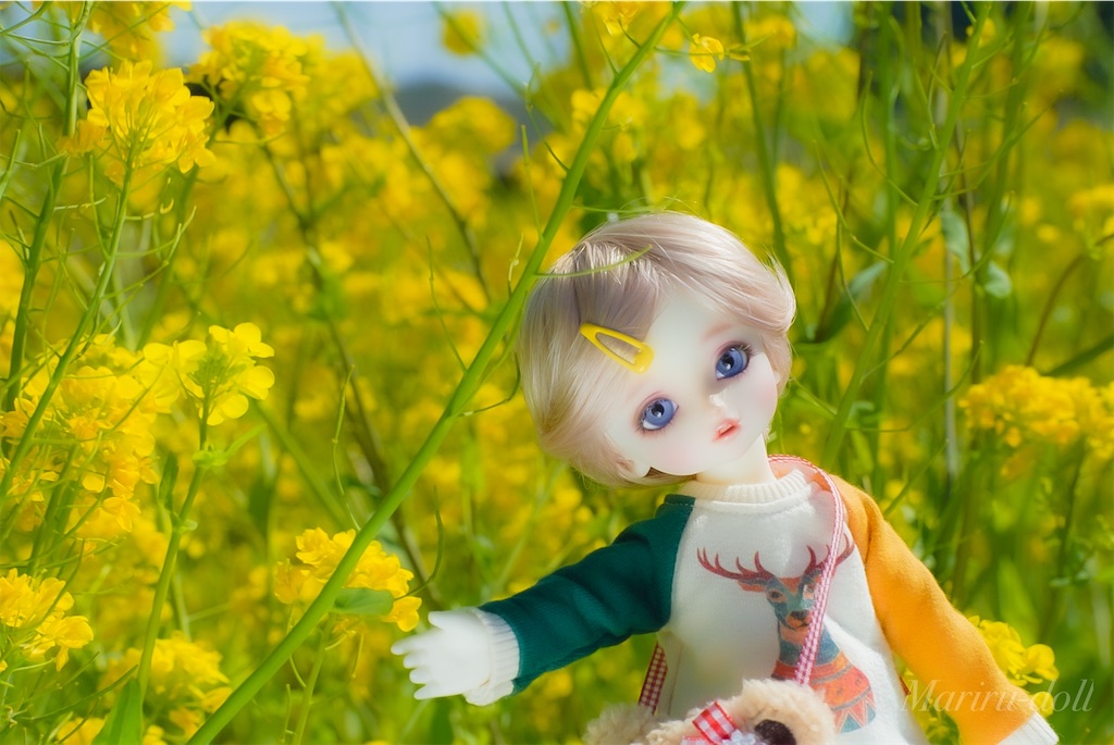 f:id:heemaxx914:20200329180647j:image