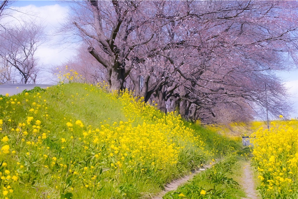 f:id:heemaxx914:20200329180651j:image