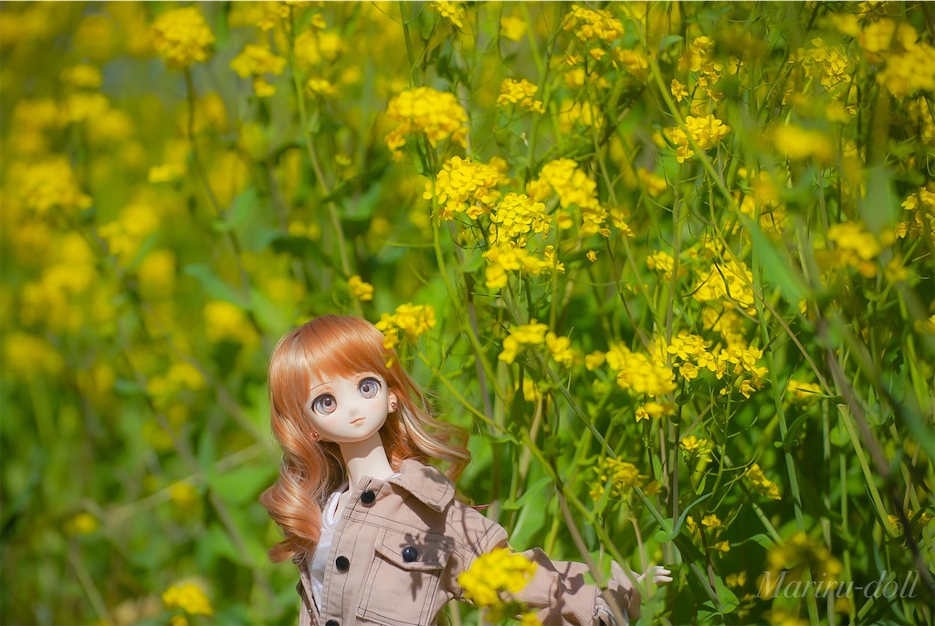 f:id:heemaxx914:20200329180654j:image