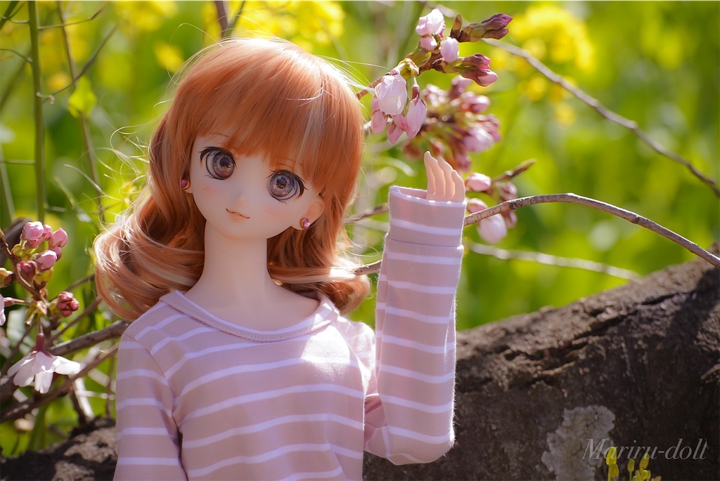 f:id:heemaxx914:20200329180956j:image