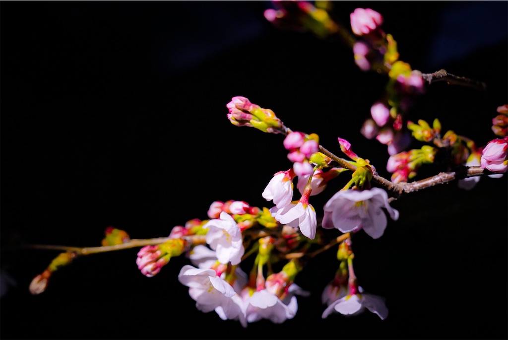 f:id:heemaxx914:20200329181233j:image