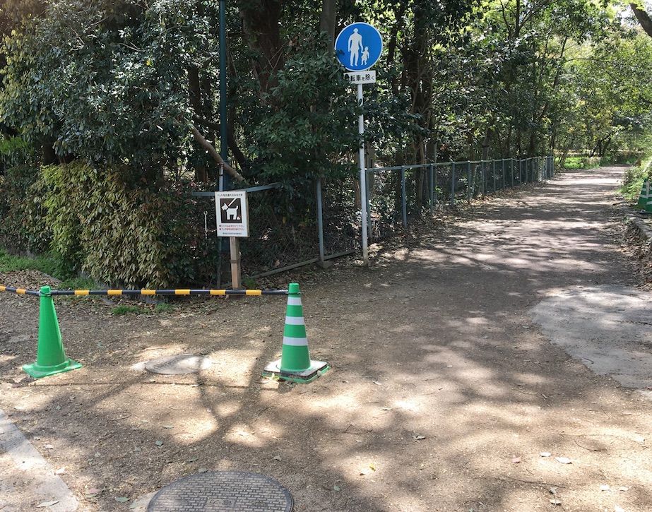 今出川御門