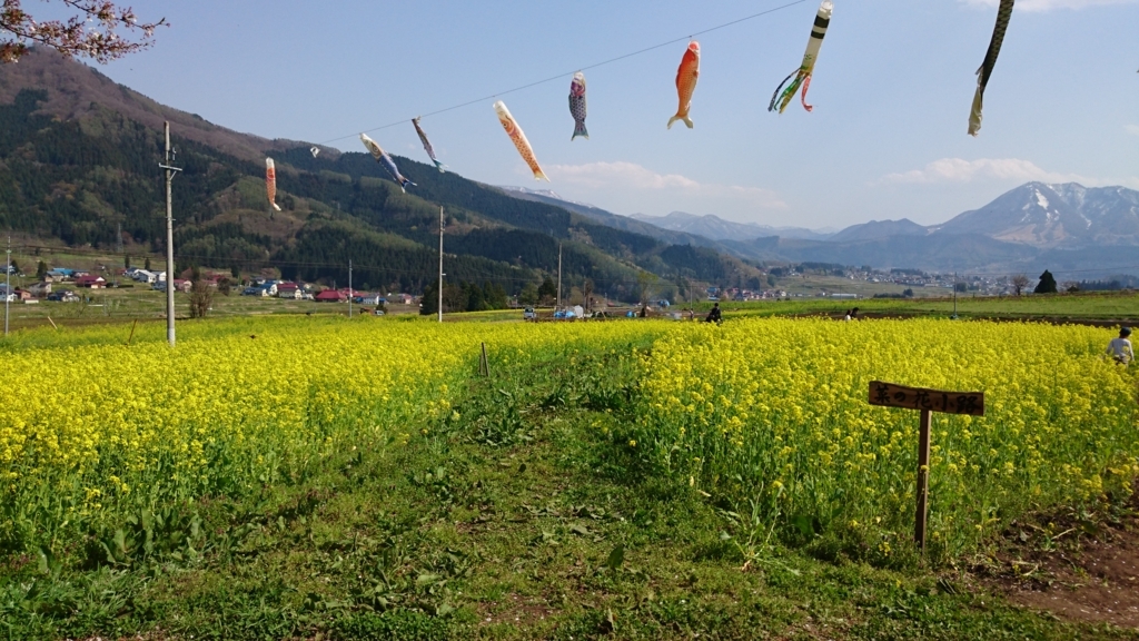 f:id:hei_bon:20170615000029j:plain f:id:hei_bon:20170615000029j:plain