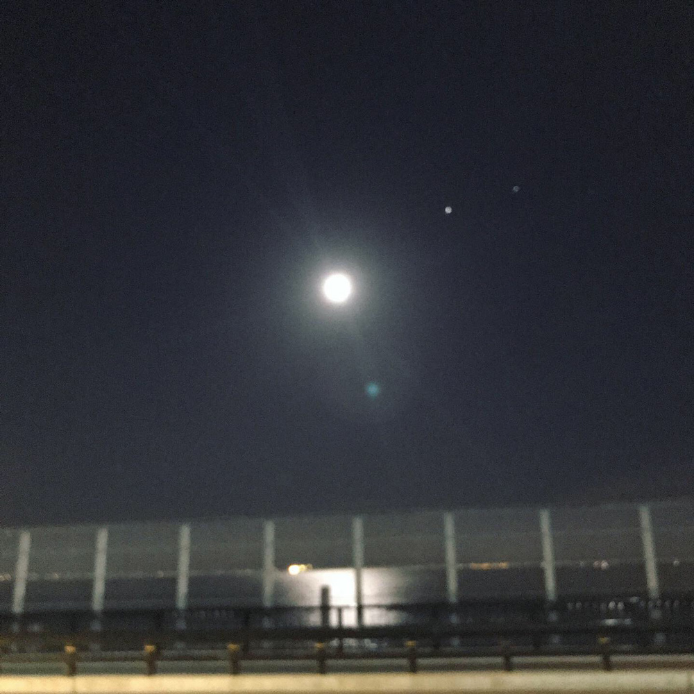 f:id:heidiironhead:20190801150343j:plain f:id:heidiironhead:20190801150343j:plain