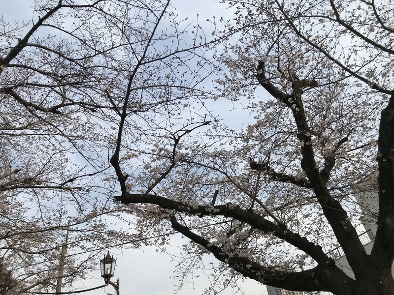 イメージ 10