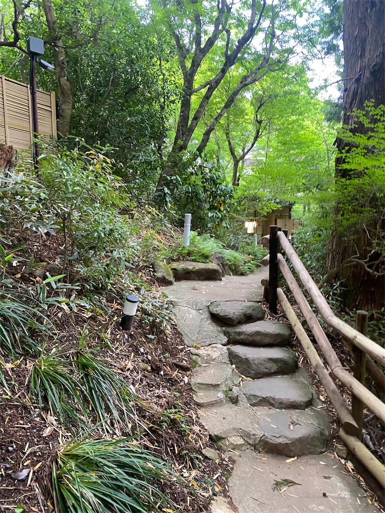 f:id:heijiroburogu:20250603144626j:image f:id:heijiroburogu:20250603144626j:image