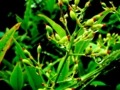 20120621134721
