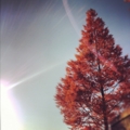 20121129233029