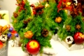 20121206130622