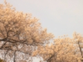 20130401165251