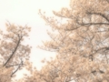 20130401165259