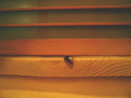 f:id:heimin:20020101000454:image