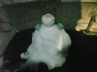 f:id:heimin:20060122194804j:image