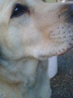 f:id:heimin:20060128151634j:image