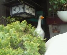 f:id:heimin:20060416161100j:image