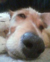 f:id:heimin:20060419223100j:image