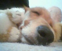 f:id:heimin:20060419223600j:image