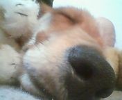 f:id:heimin:20060419223900j:image