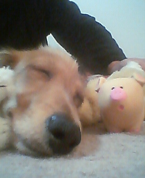 f:id:heimin:20060419224000j:image