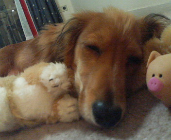 f:id:heimin:20060419225300j:image
