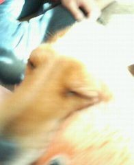 f:id:heimin:20060420160800j:image