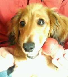 f:id:heimin:20060420161000j:image