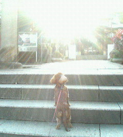 f:id:heimin:20060420164900j:image