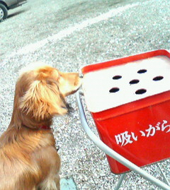 f:id:heimin:20060420165900j:image