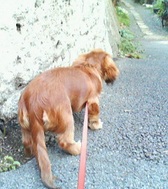 f:id:heimin:20060420171500j:image
