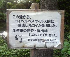 f:id:heimin:20060605173700j:image