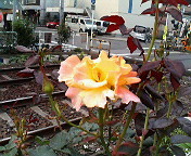 f:id:heimin:20060624173500j:image