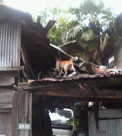 f:id:heimin:20060625145500j:image