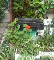 f:id:heimin:20060627154100j:image